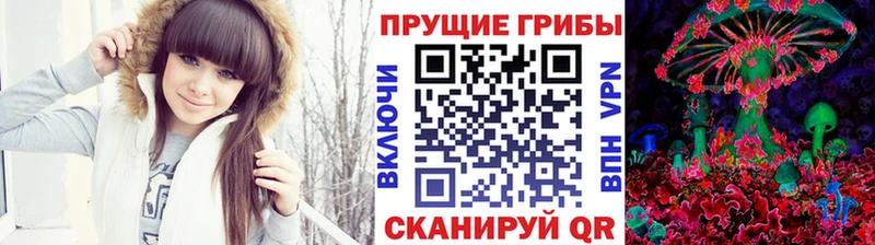 где продают   Нижняя Тура  Псилоцибиновые грибы MAGIC MUSHROOMS 